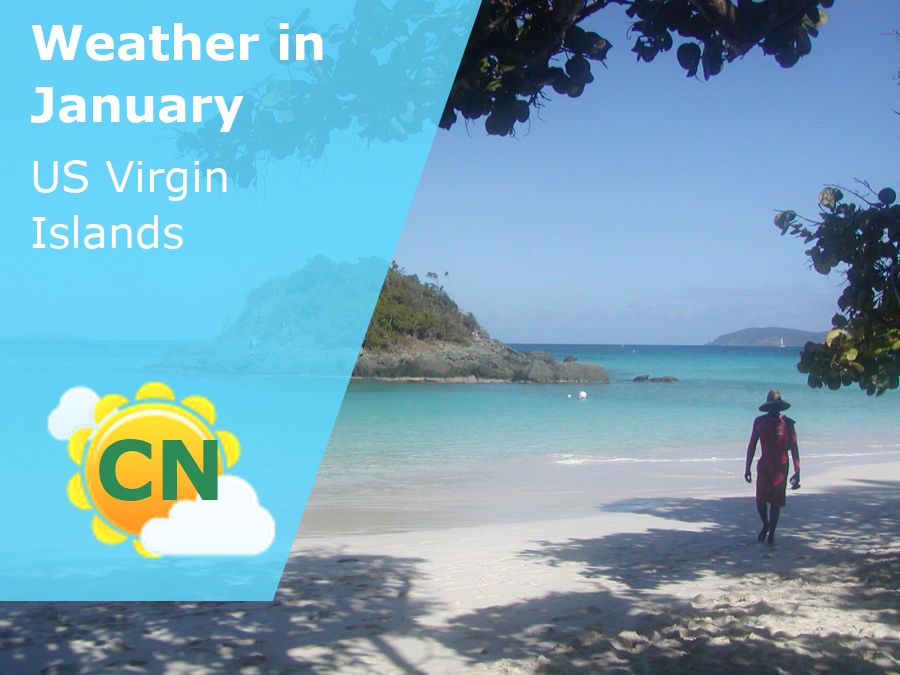 January Weather in The US Virgin Islands 2025 Winter Sun Expert